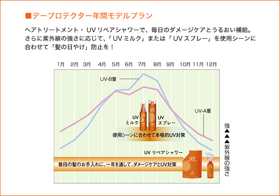 ■デープロテクター年間モデルプラン